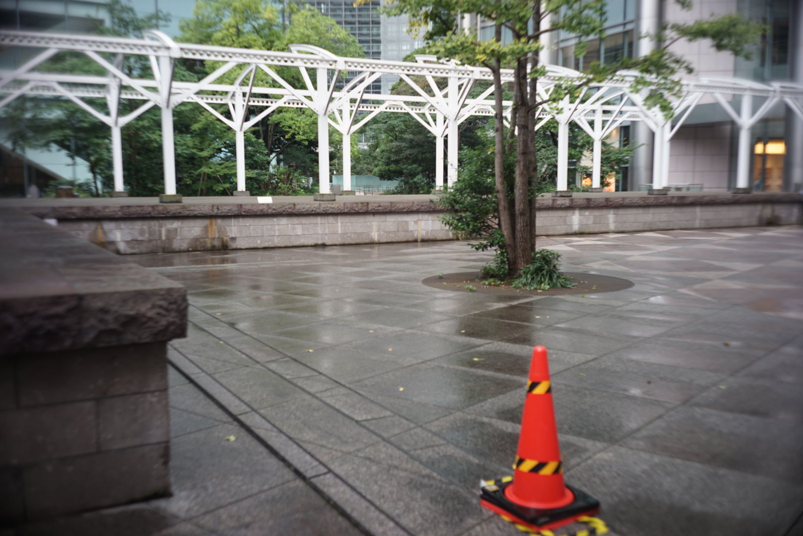 Wet plaza, white trellis, one cone